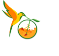 Nava